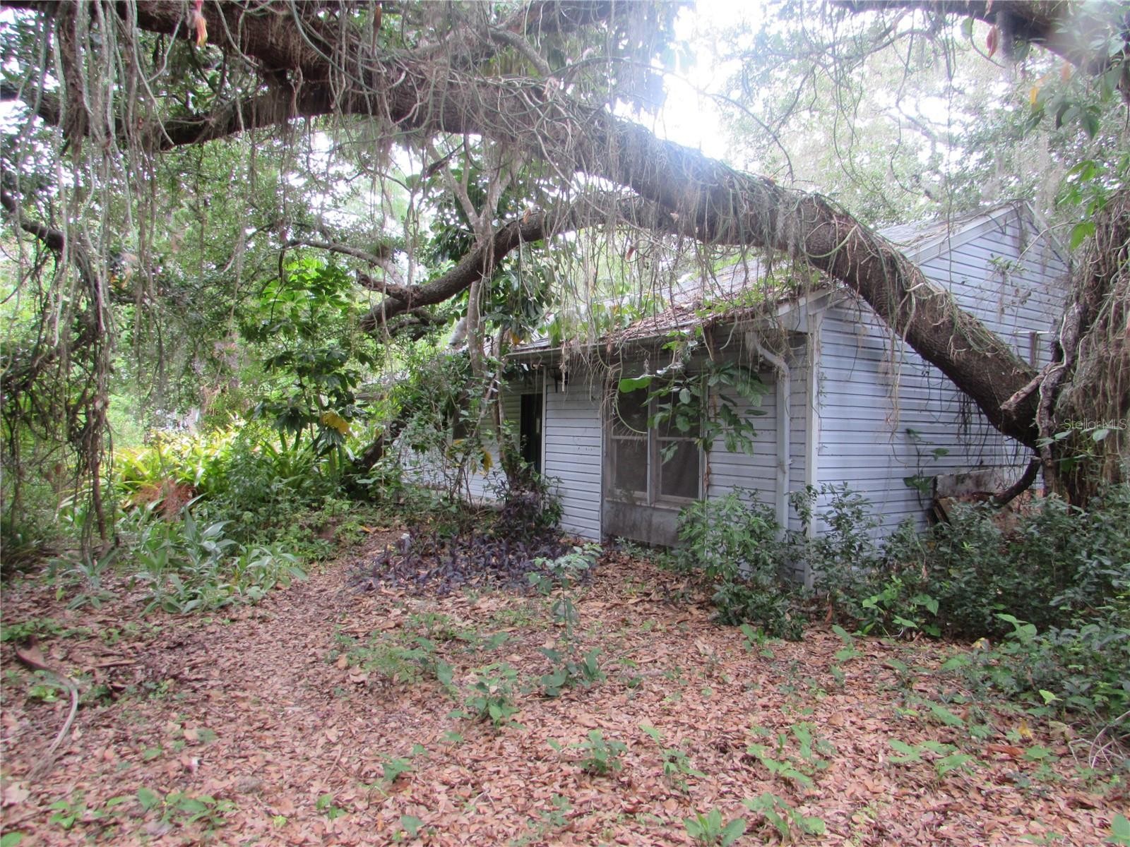 4949 DOROTHY AVE