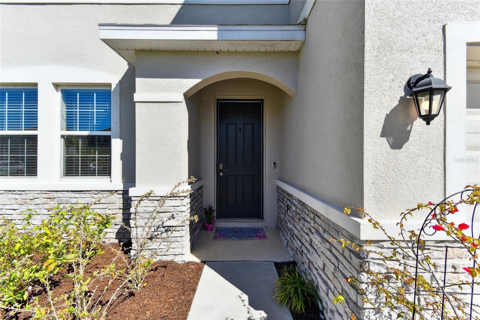 10741 CHARLOTTE DR