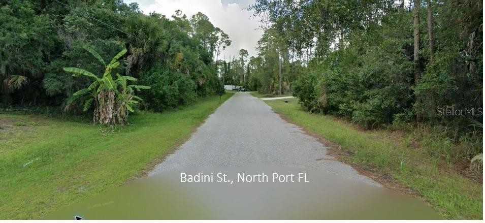 BADINI ST