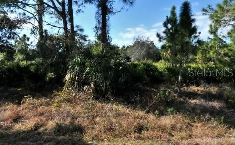 MATTOX CIR