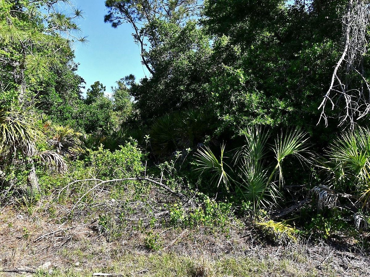Lot 7 BARCELONA DR
