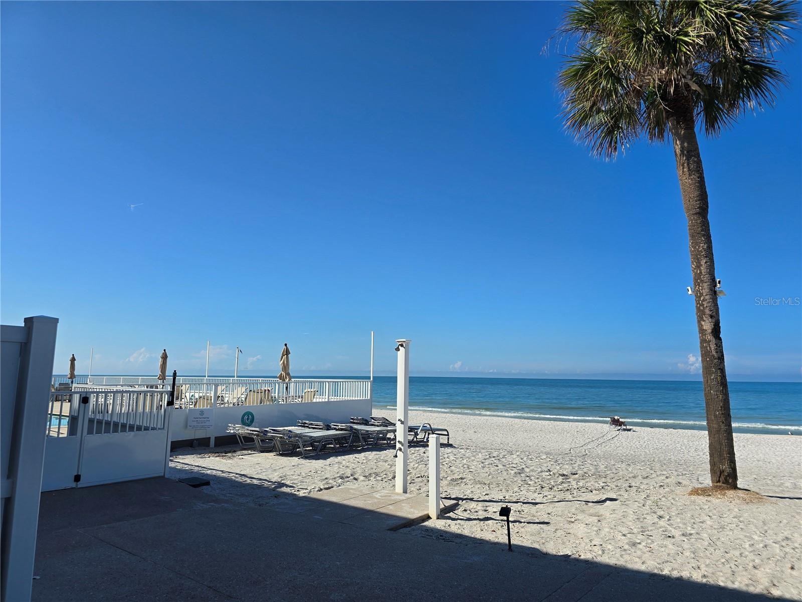 3453 GULF OF MEXICO DR #242