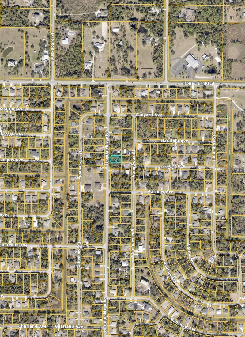 HORNBUCKLE BLVD