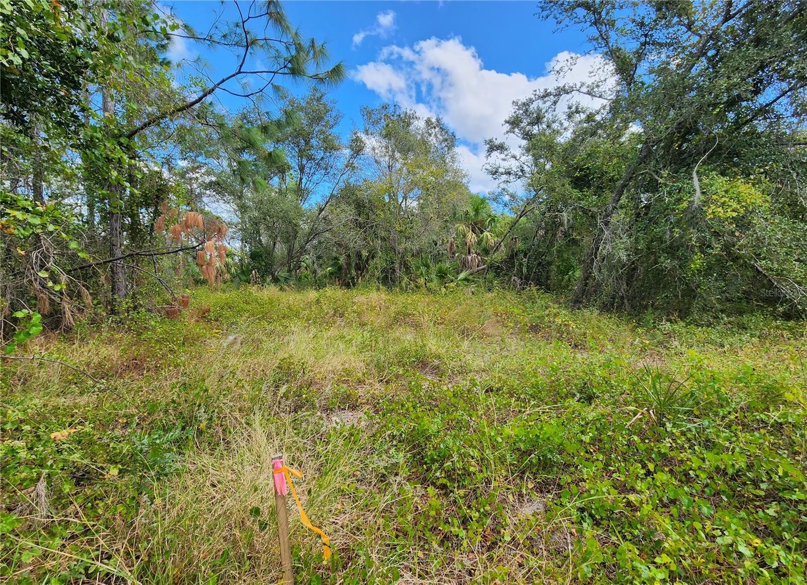 Lot 4 Jagust Rd North Port Florida 34288