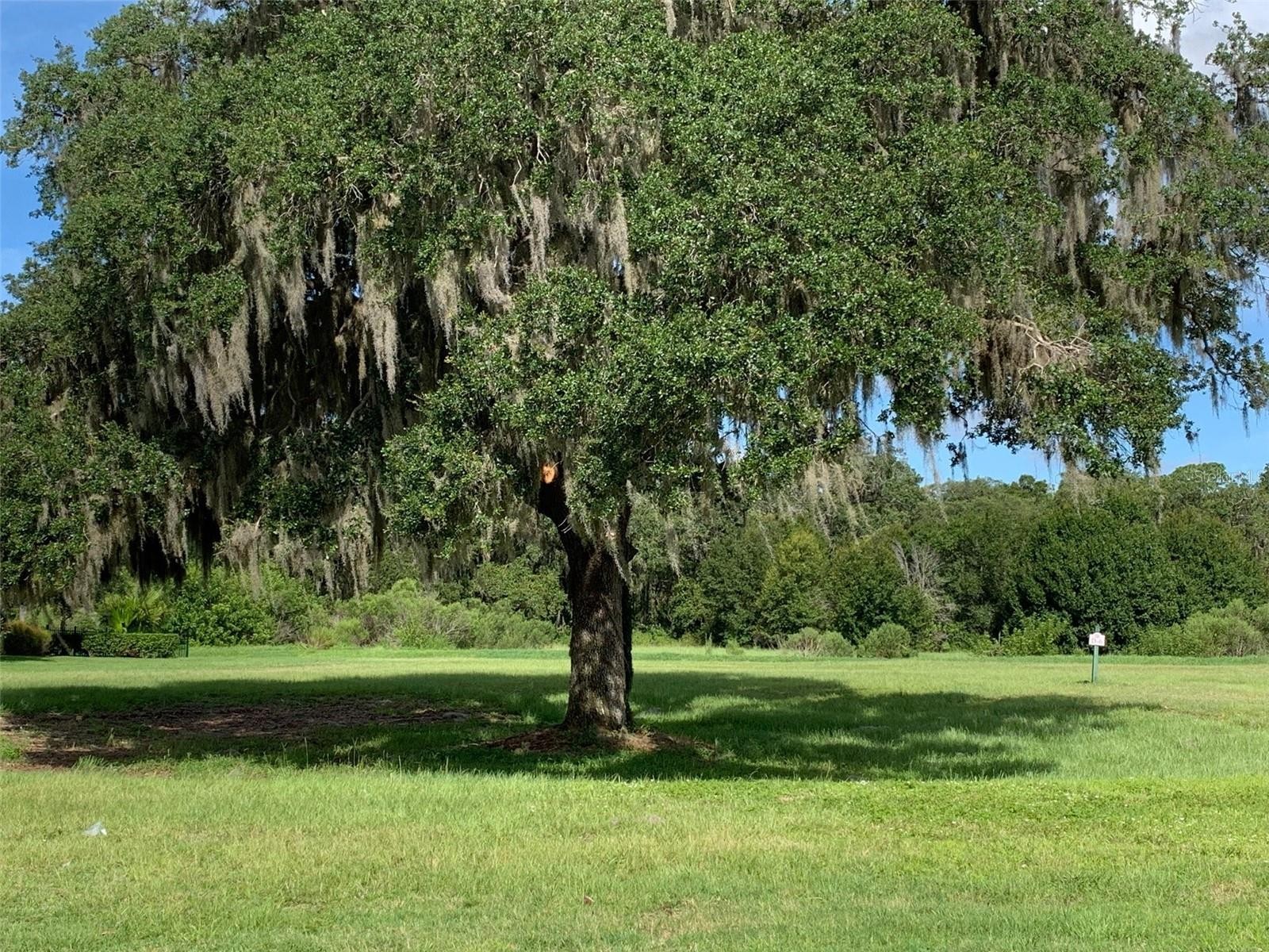 4052 FOUNDERS CLUB DR