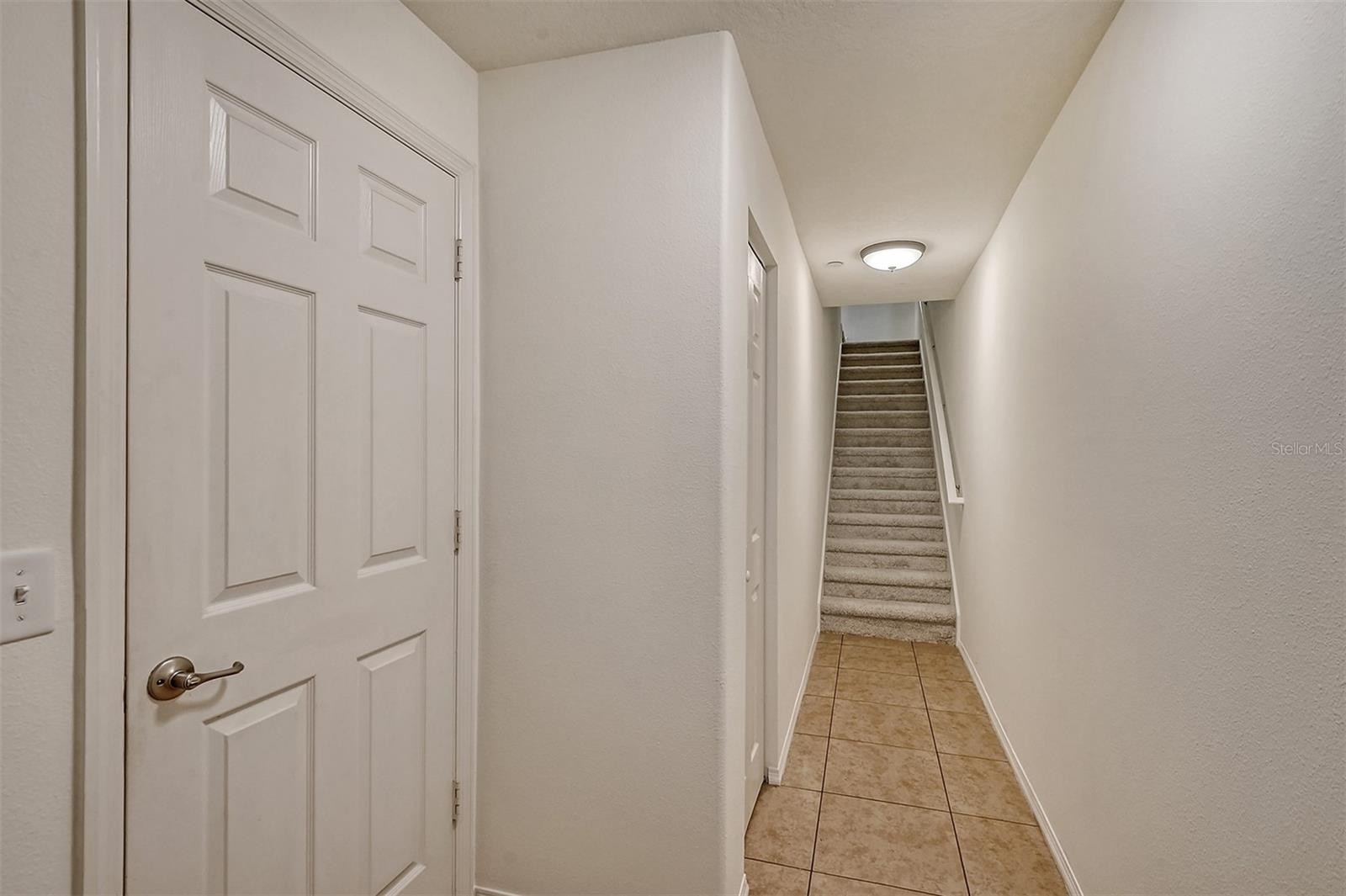 8922 WHITE SAGE LOOP