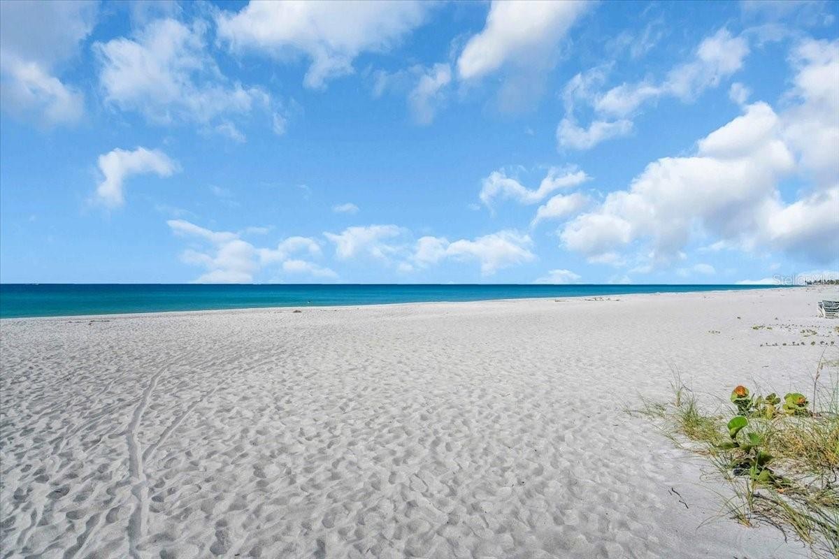 5841 GULF OF MEXICO DR #244