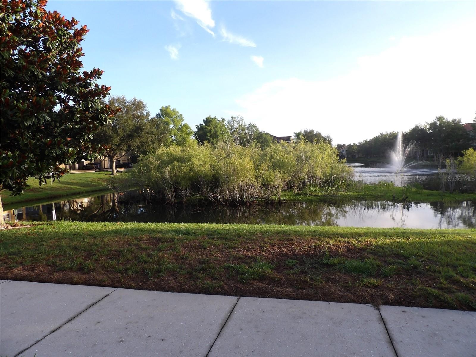 8098 MOONSTONE DR #17-203