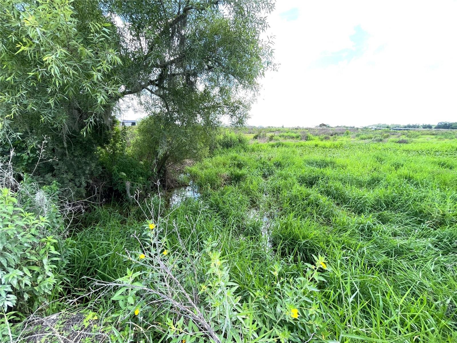 WAUCHULA RD