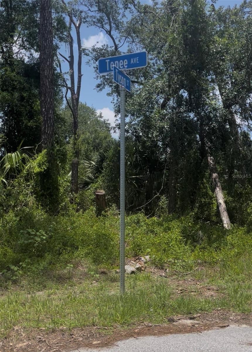 TEPEE AVE