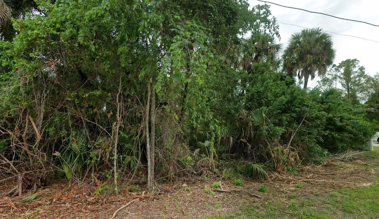 CALADIUM RD