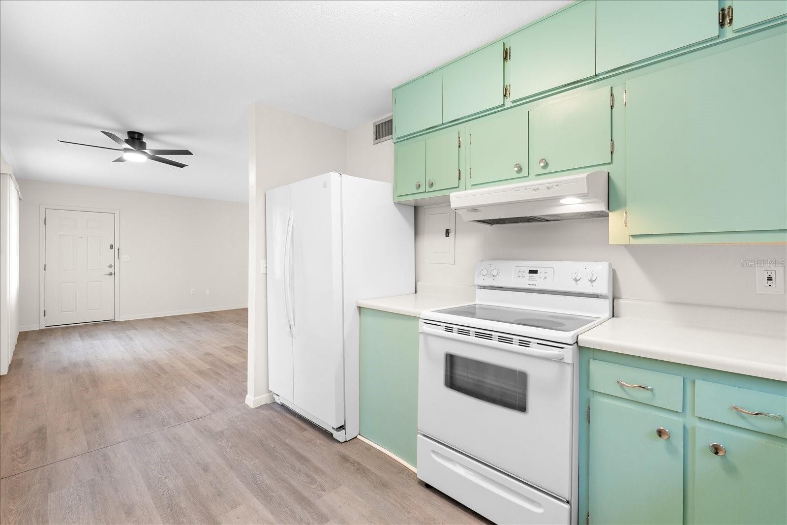 6010 LILLI WAY #6010