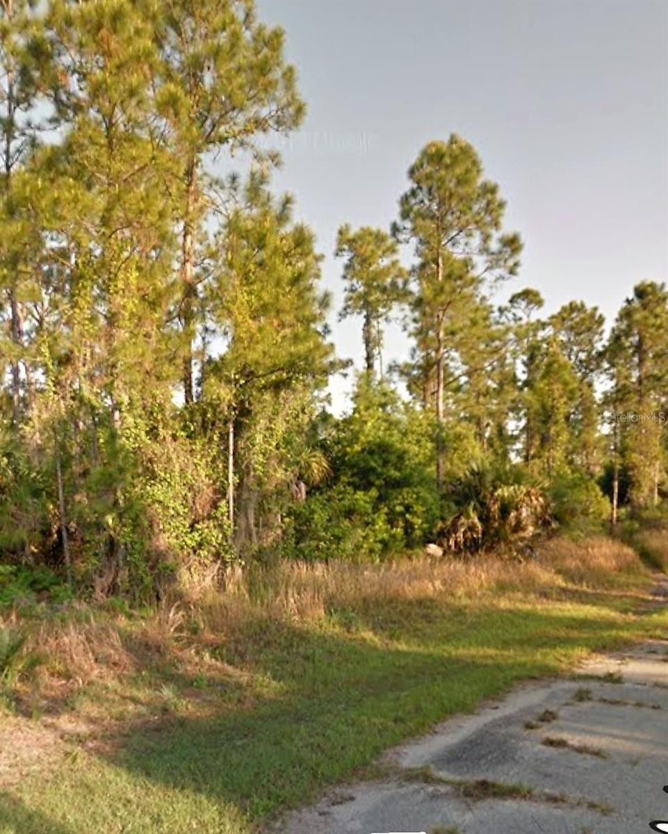 OLD WINE RD