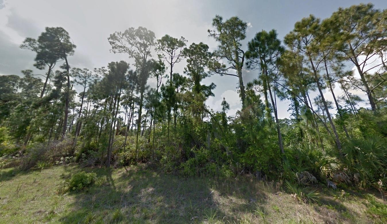 Lot 15 PIMENTO CIR