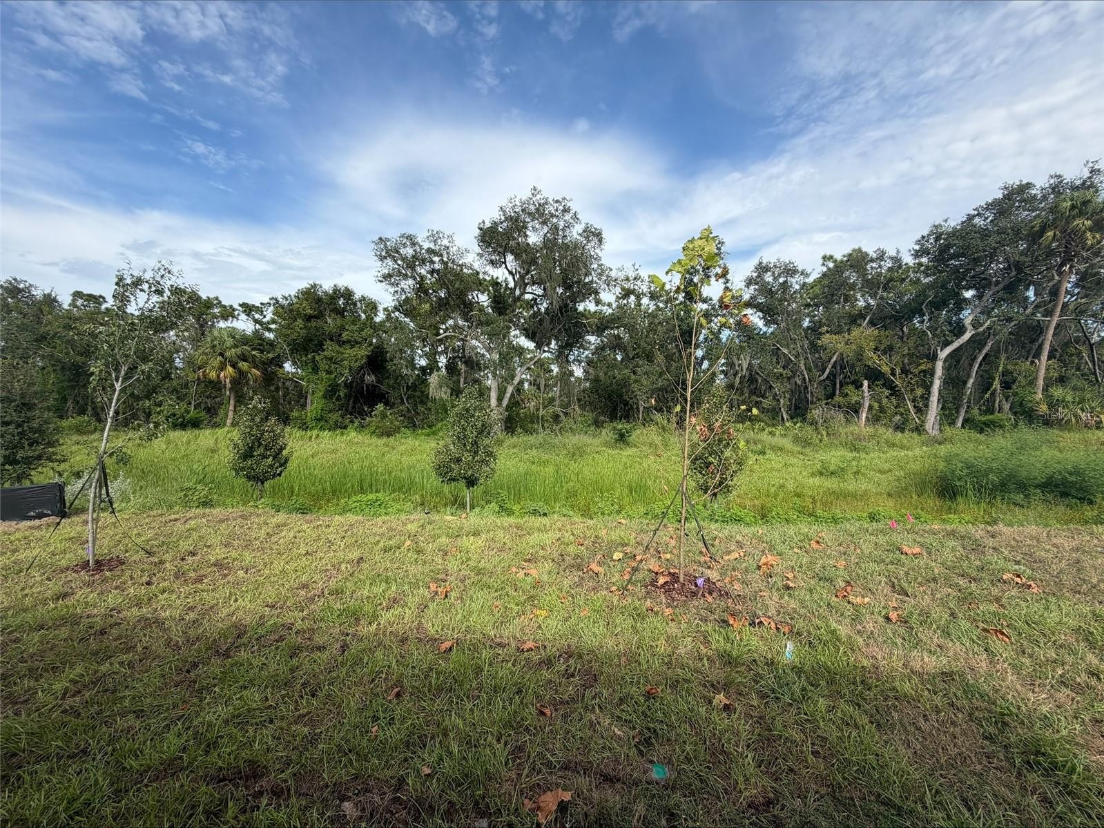 10858 CURVING CREEK LOOP