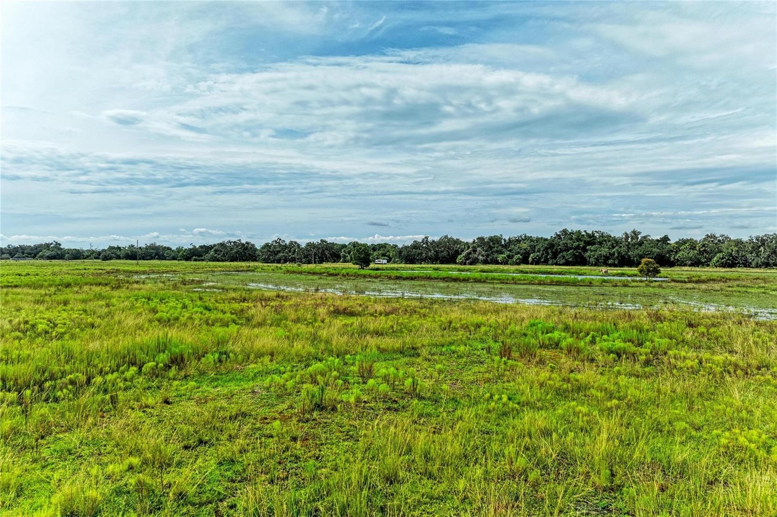 COKER GULLY RD