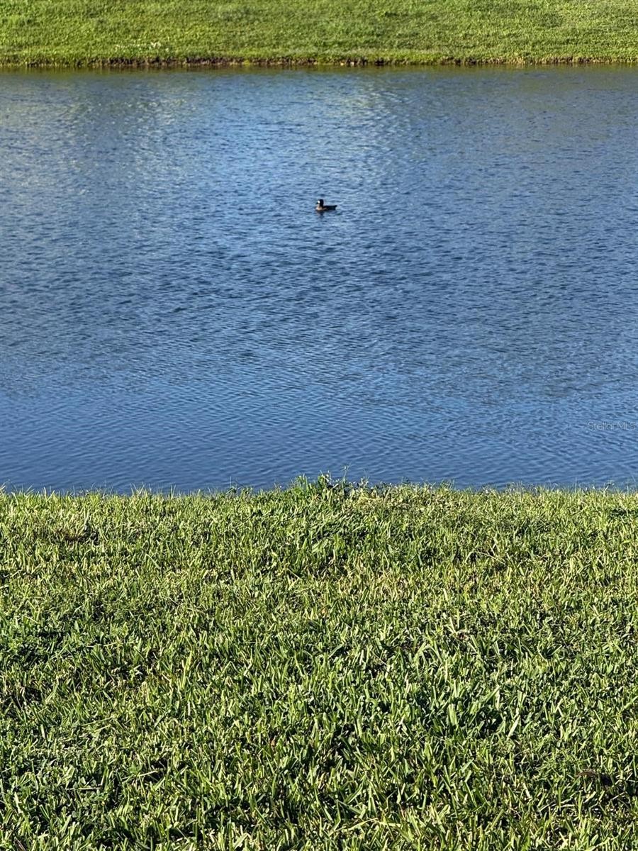 2217 CITRUS BREEZE DR