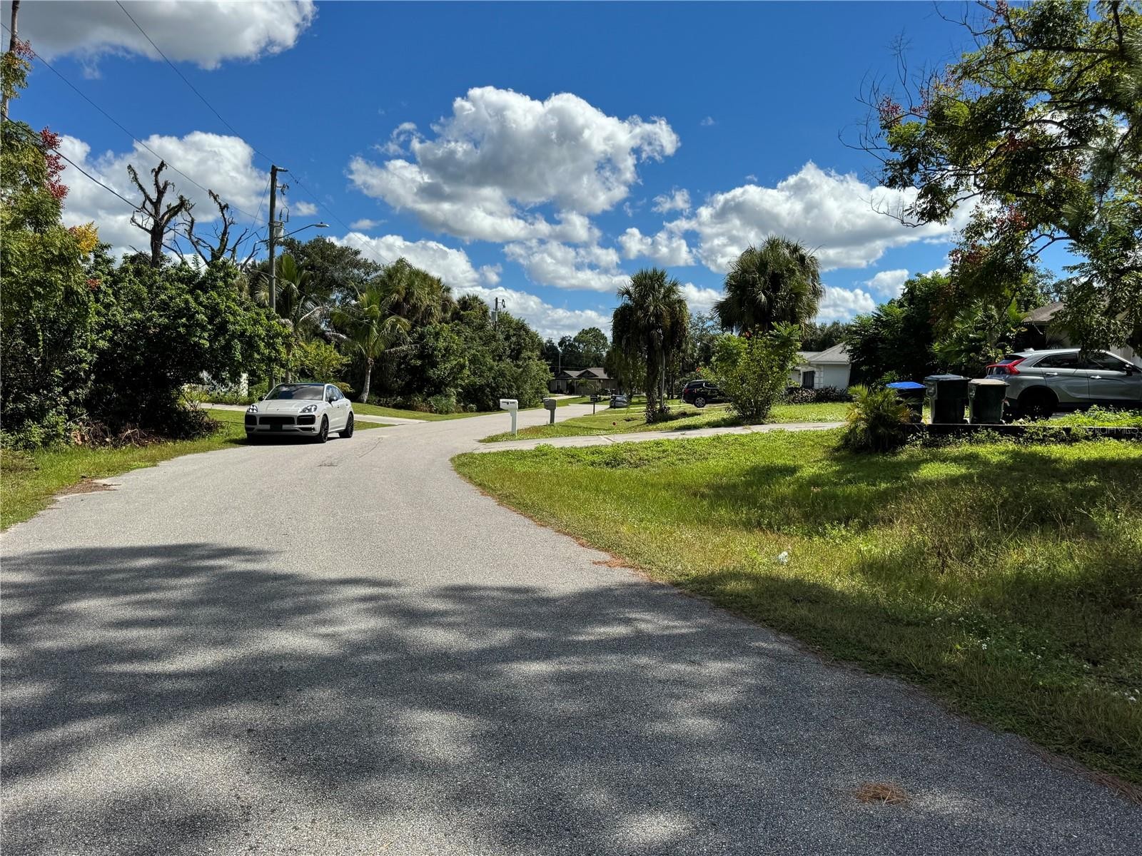 ZAMITA AVE