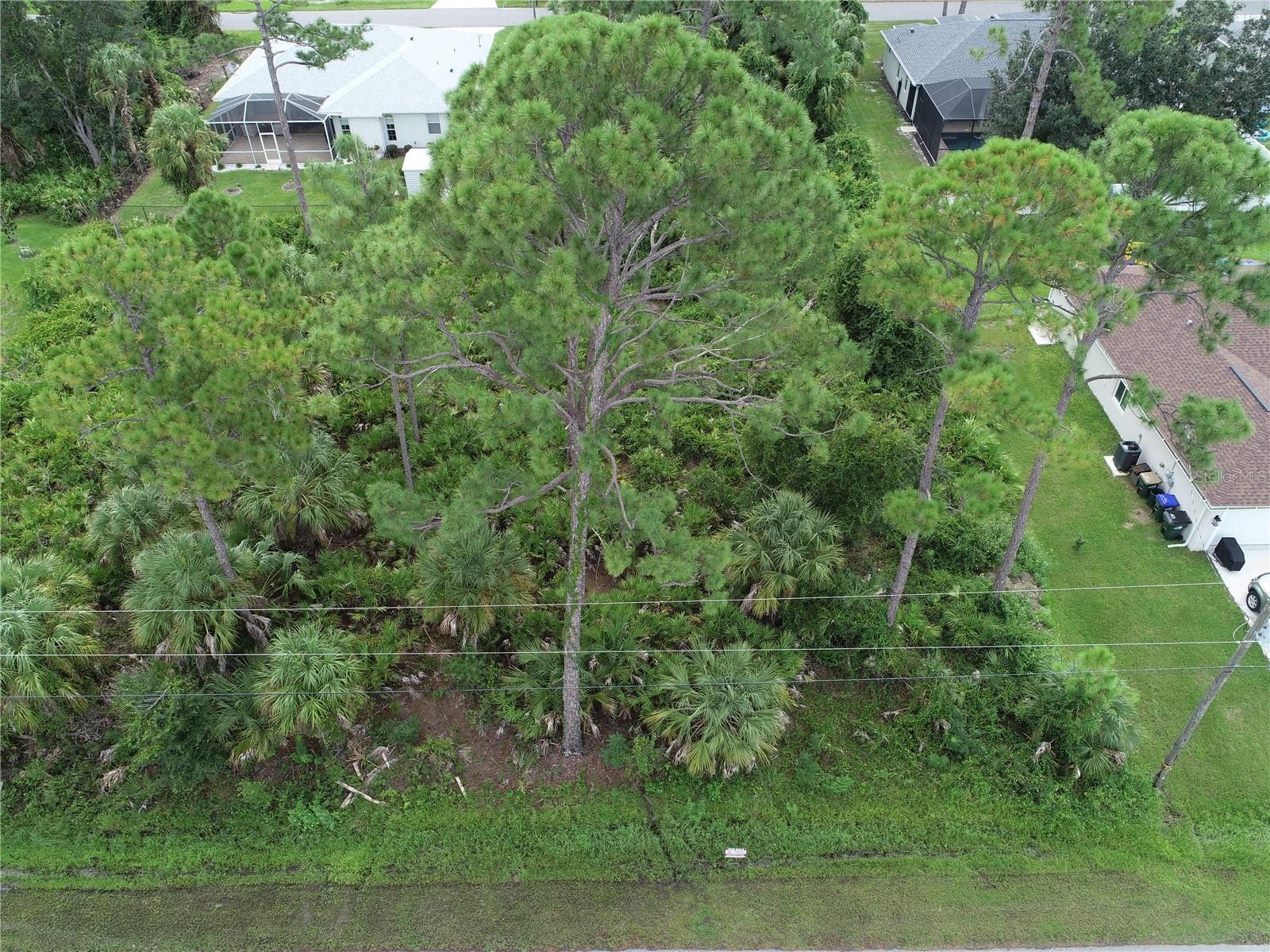 Lot 38 ALLSUP TER