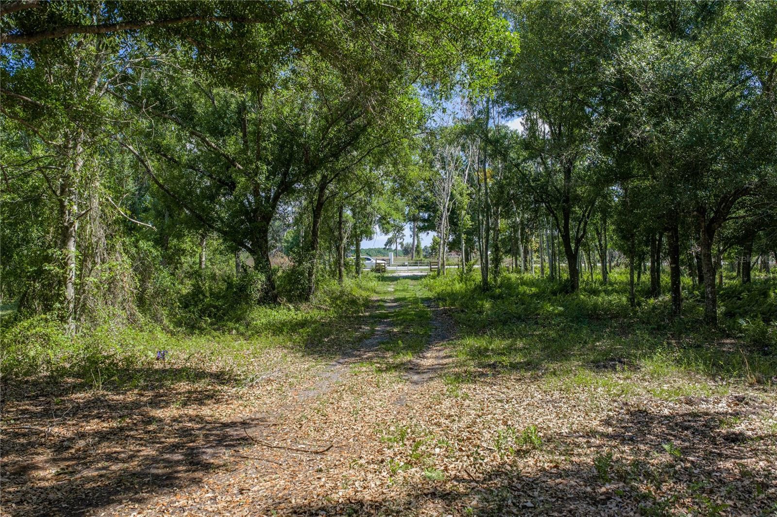 42655 STATE ROAD 64 E