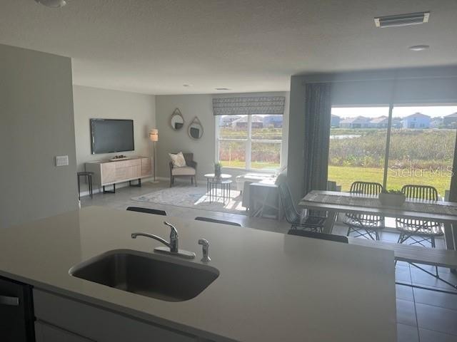 3817 SILVER STRAND TRL