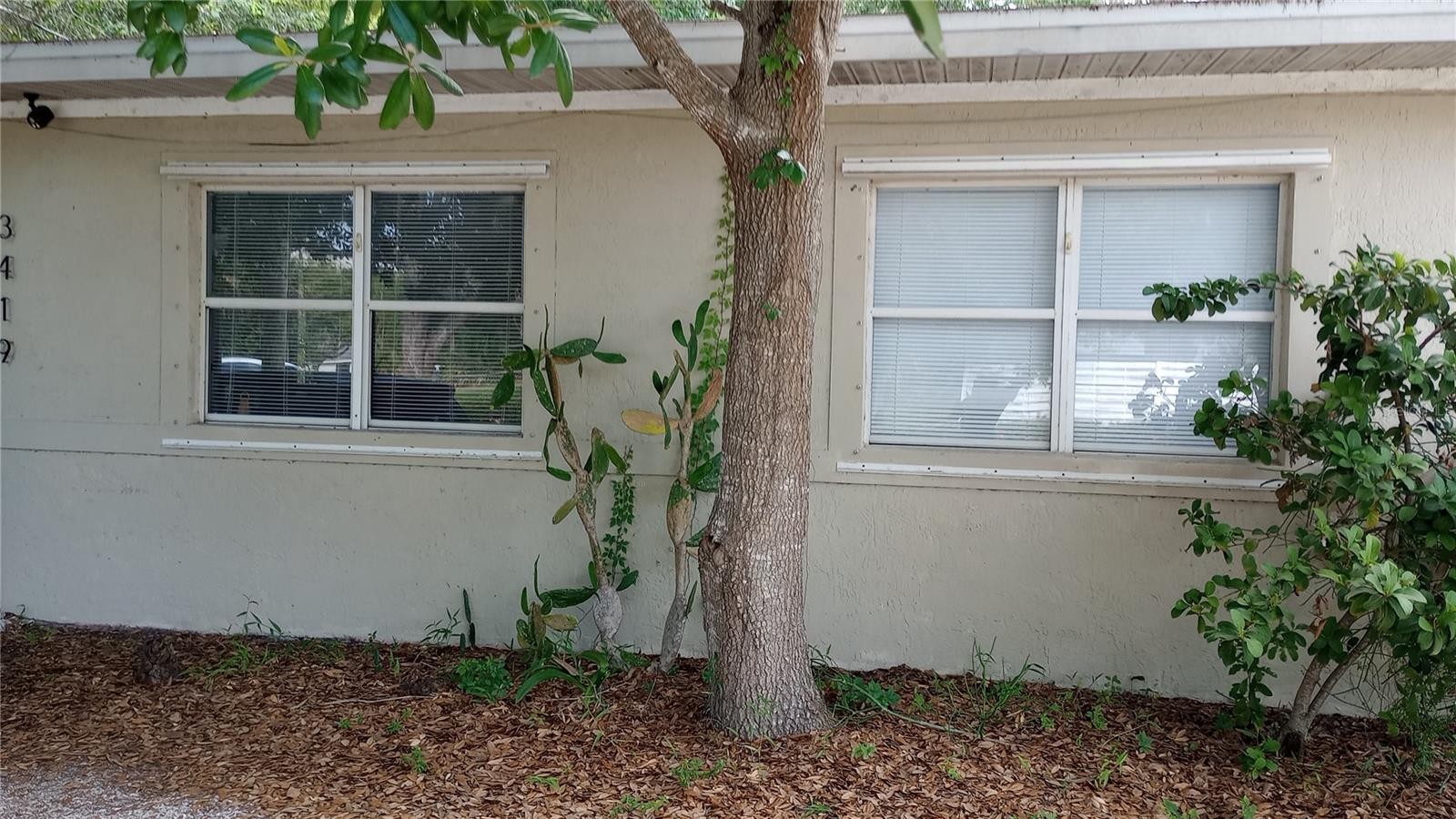 3419 OLD BRADENTON RD