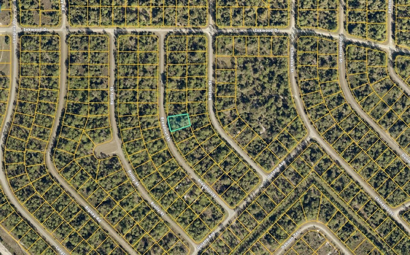 1125232808 BREADNUT ST