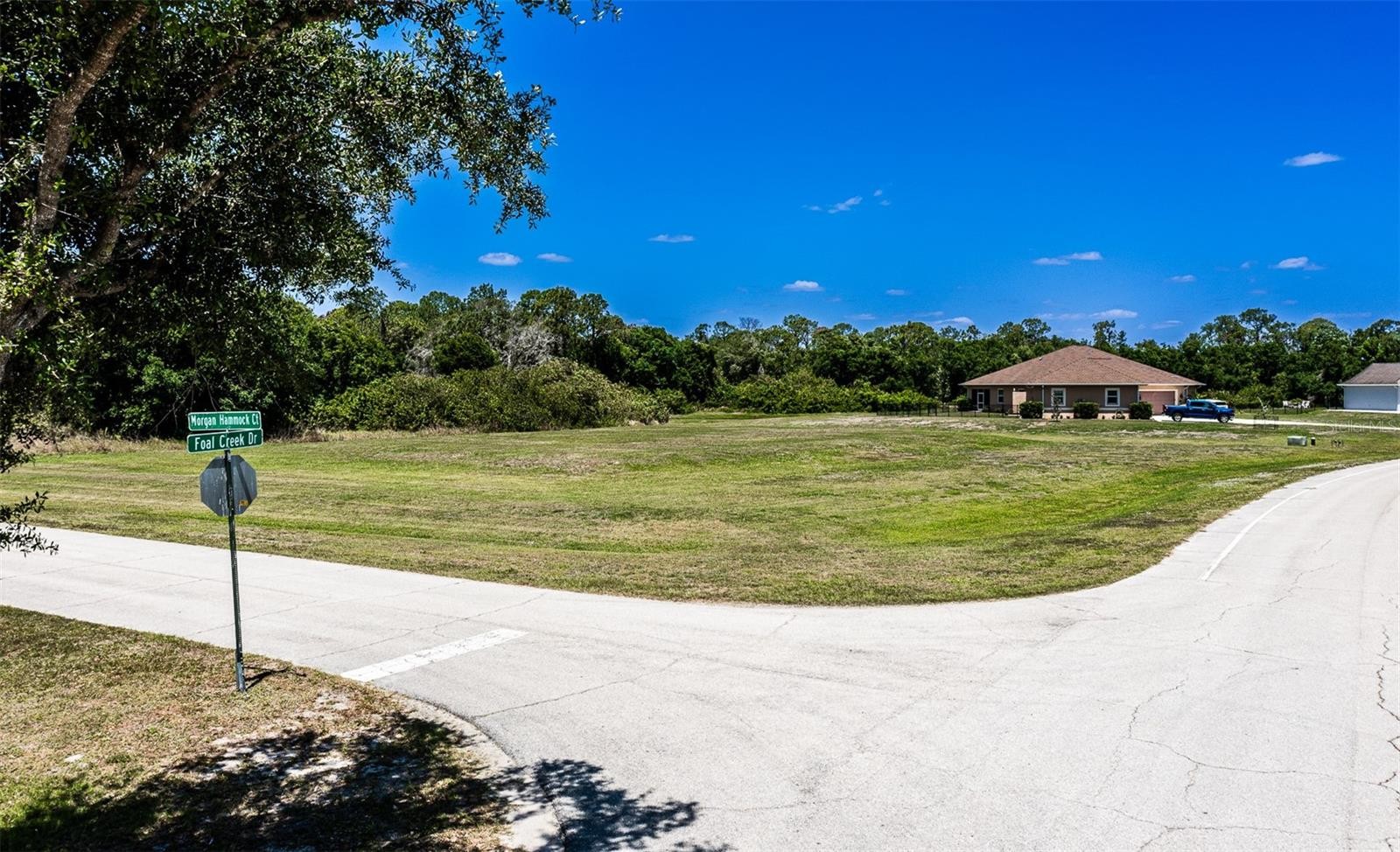 6211 FOAL CREEK DR