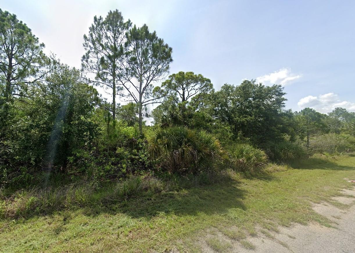Lot 15 BLUELEAF DR