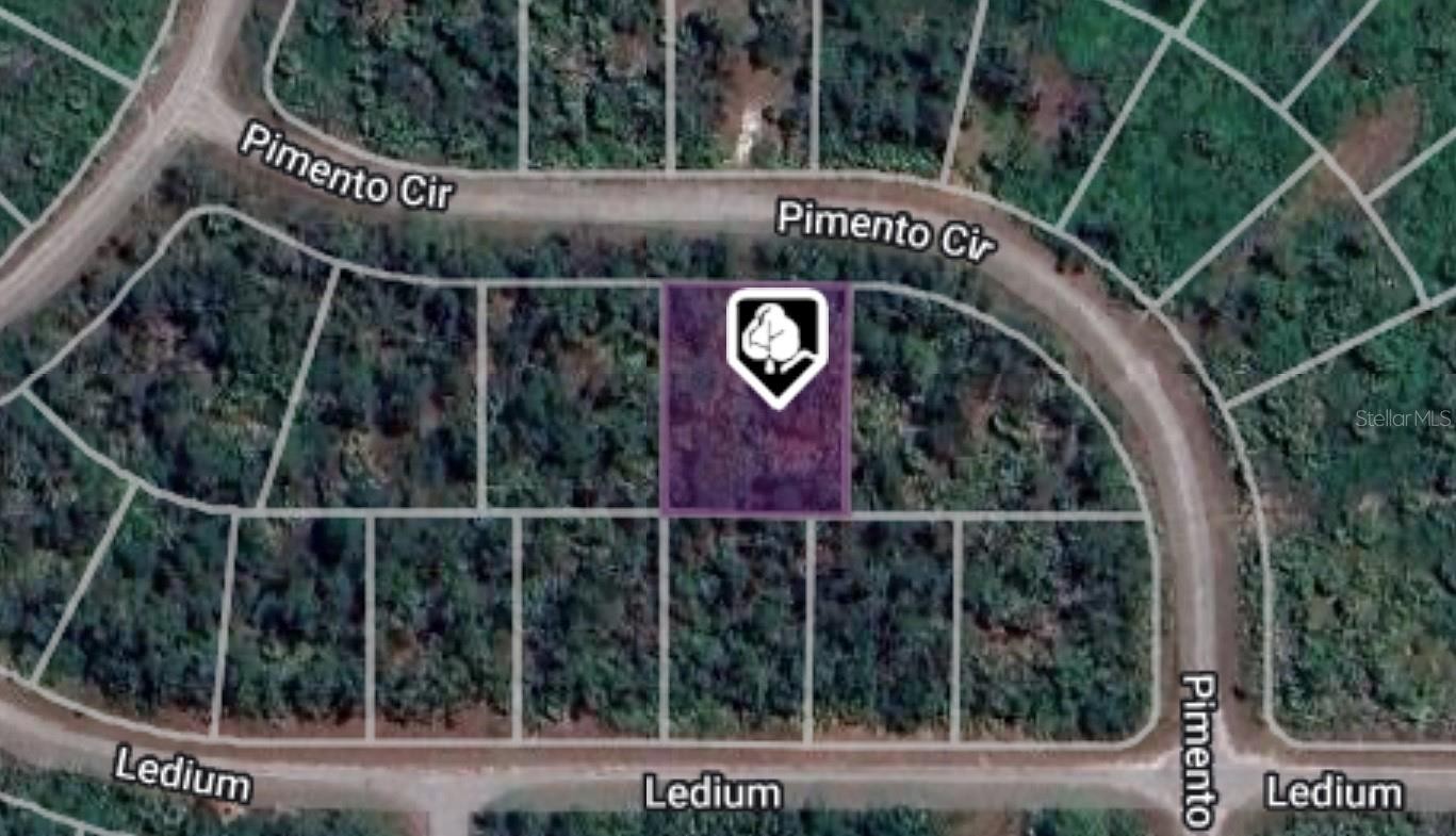 Lot 4 PIMENTO CIR