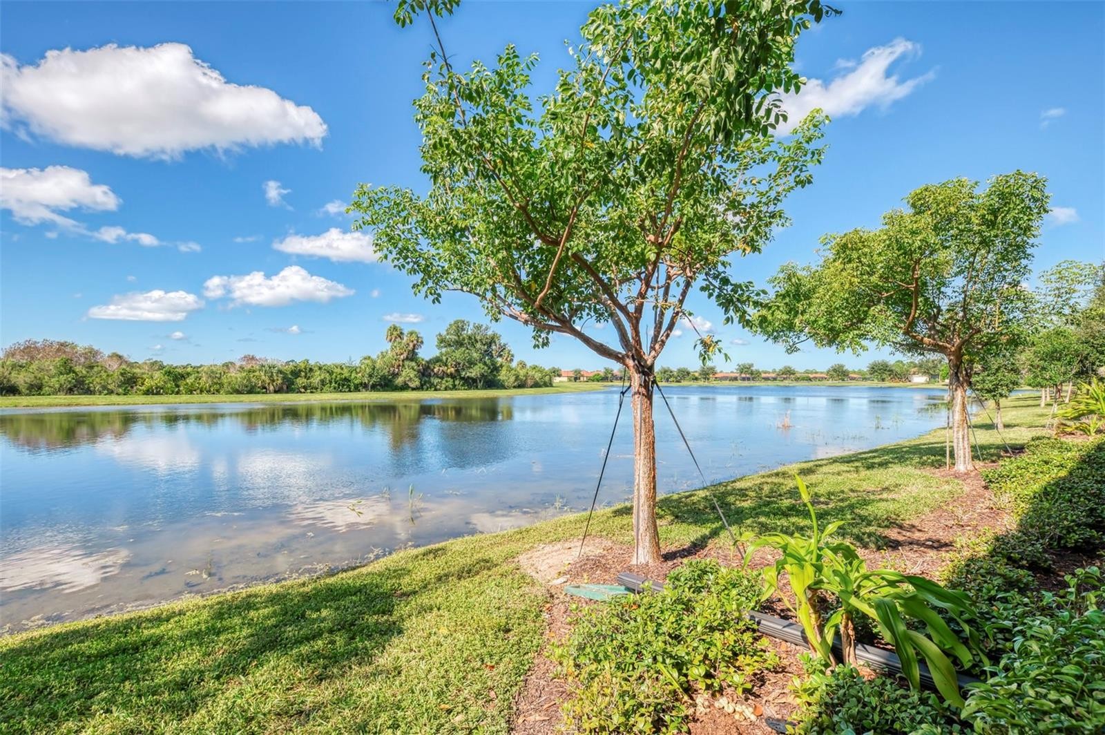 10205 STAGGERBUSH DRIVE #102