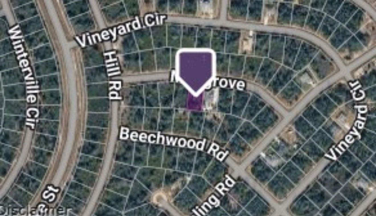 MANGROVE AVE