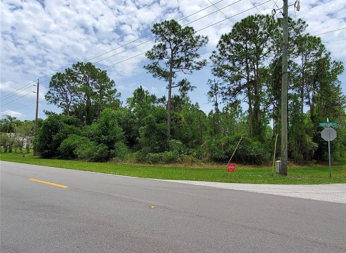 lot 12-13 TIDWELL #lot 12-13