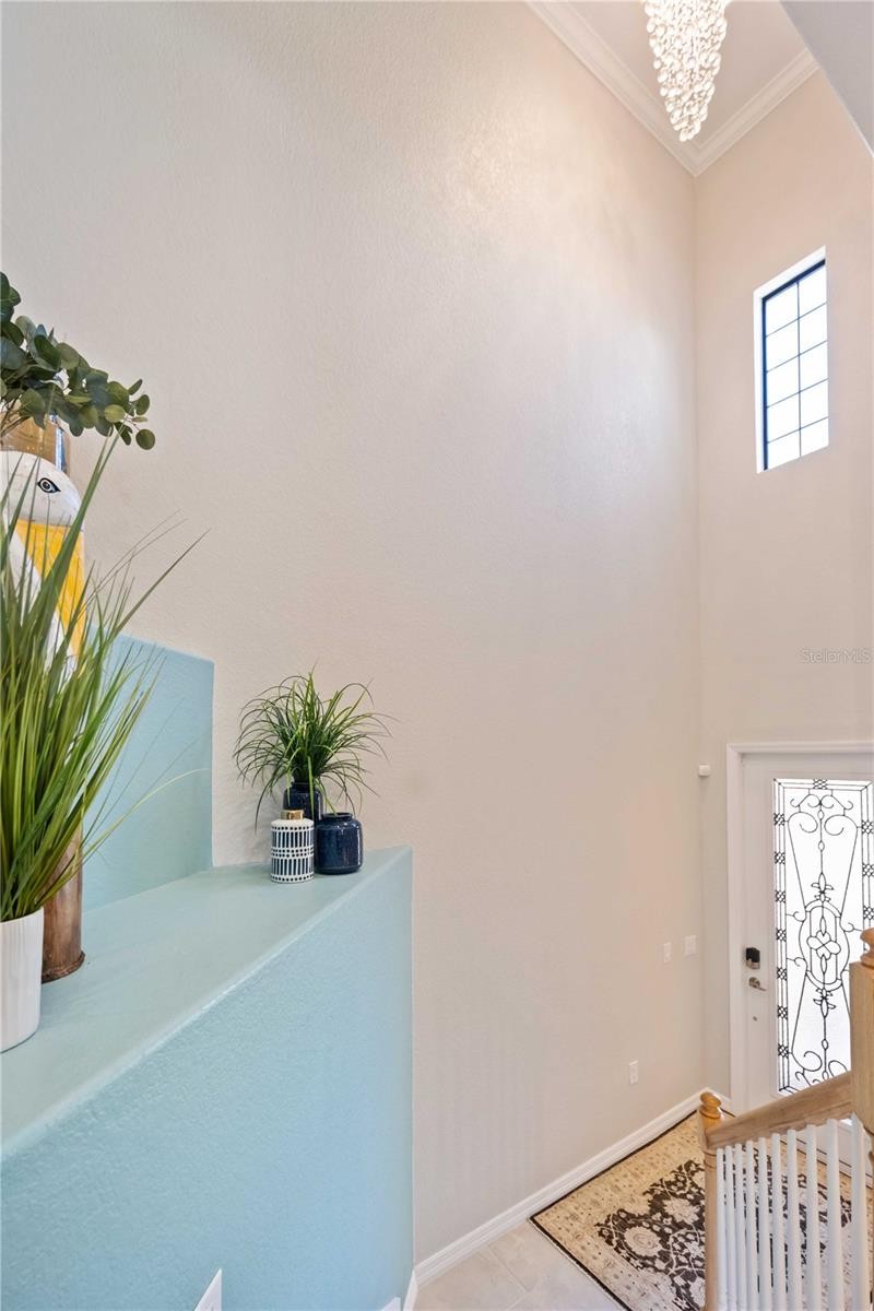 10817 TARFLOWER DR #201