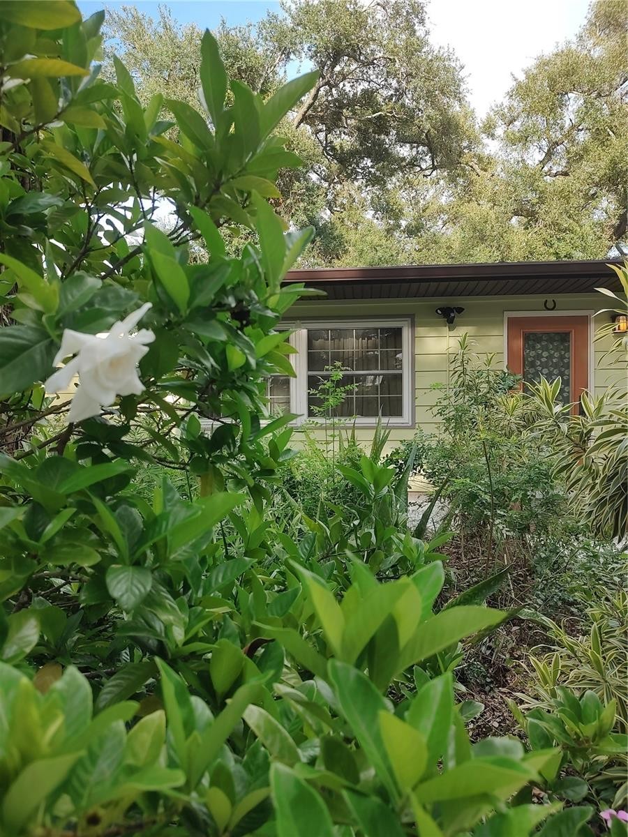 3400 CLARK DR