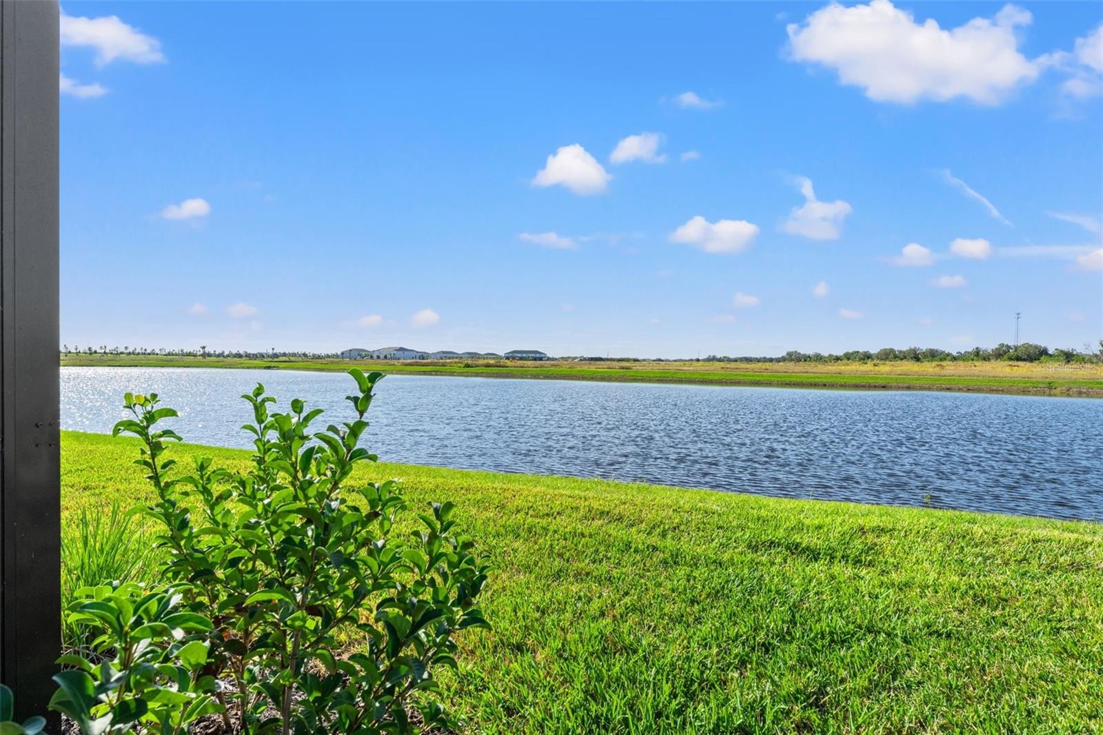 2130 SYLVESTER PALM LN