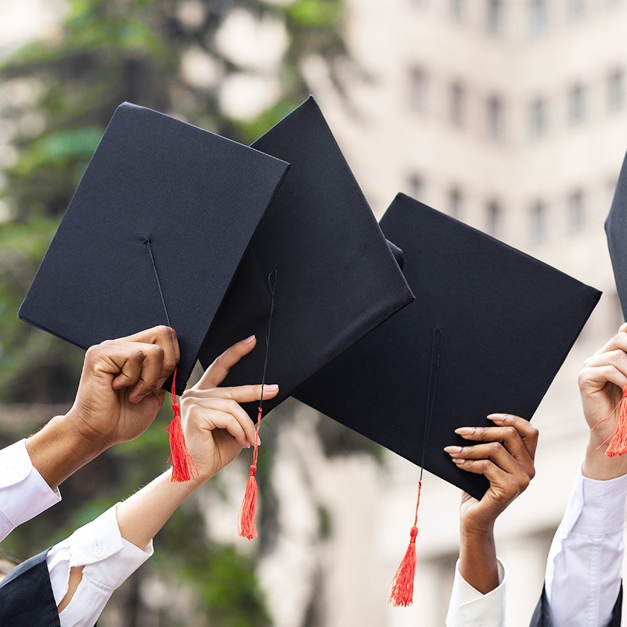 Colegios y Universidades