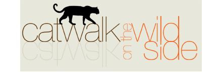 header_catwalk