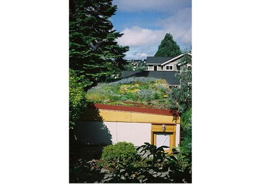 green garage roof