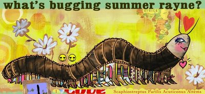 summerbugs1