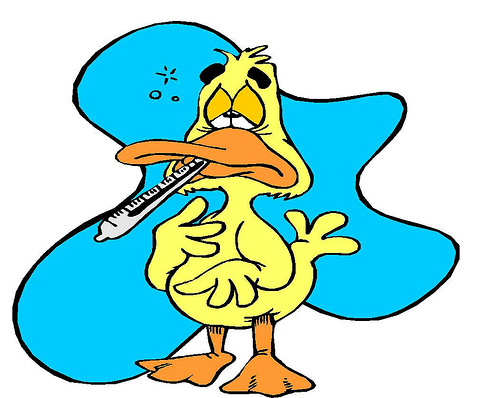 sick-duck