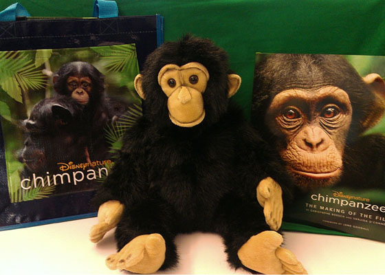 Chimpanzee Prize Pack