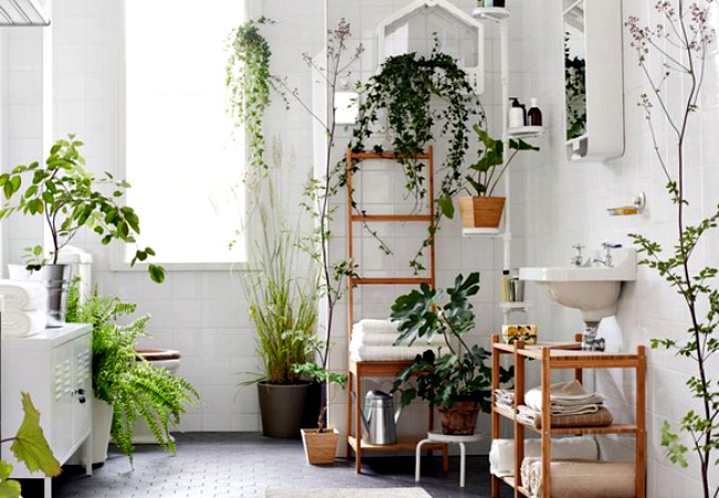 Bathroom-with-plants