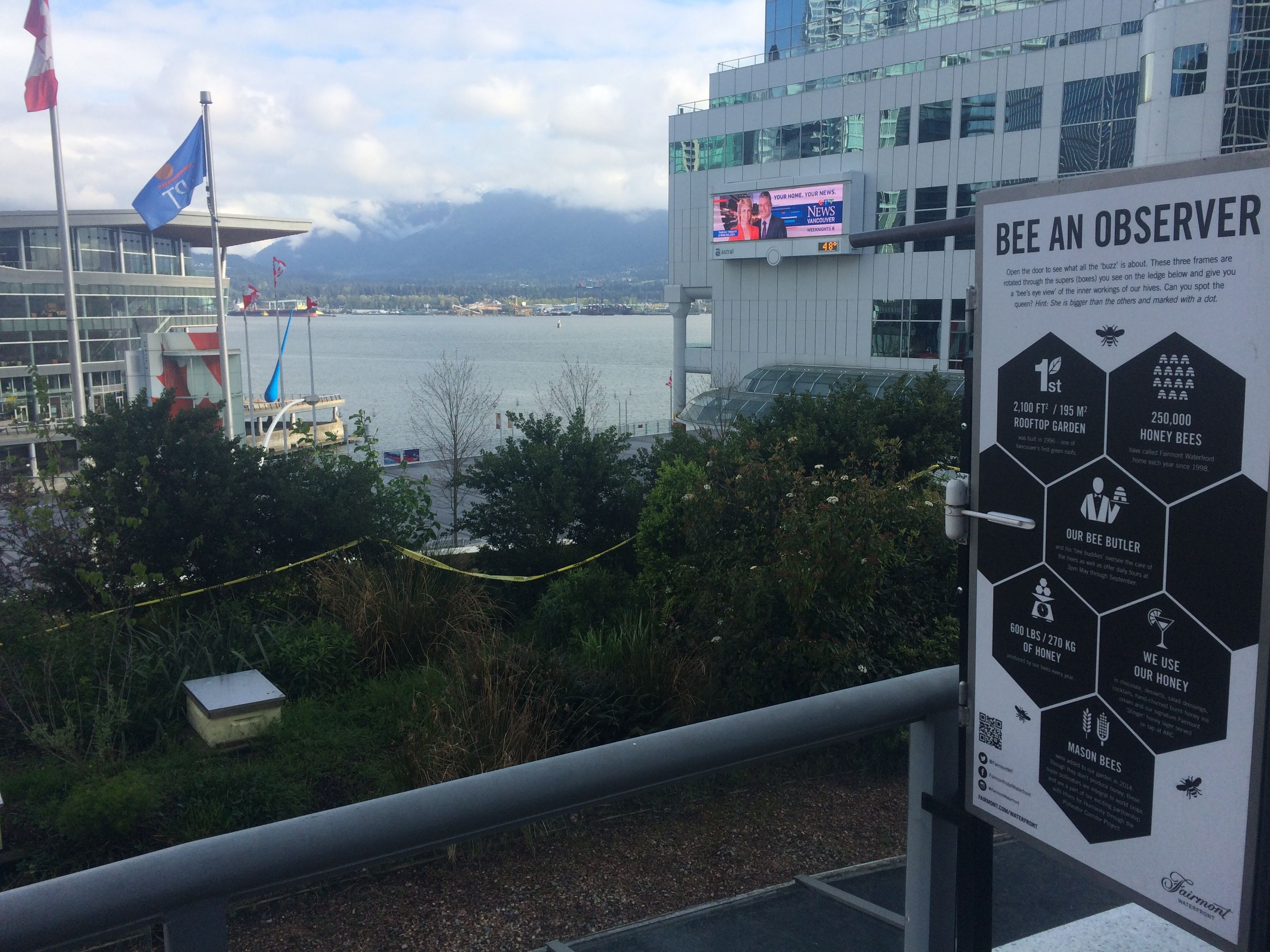 Fairmont-Waterfront-Vancouver-roof-bees