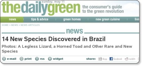 http://www.thedailygreen.com/environmental-news/latest/brazil-new-species-47042905