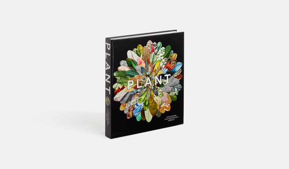 plant-phaidon