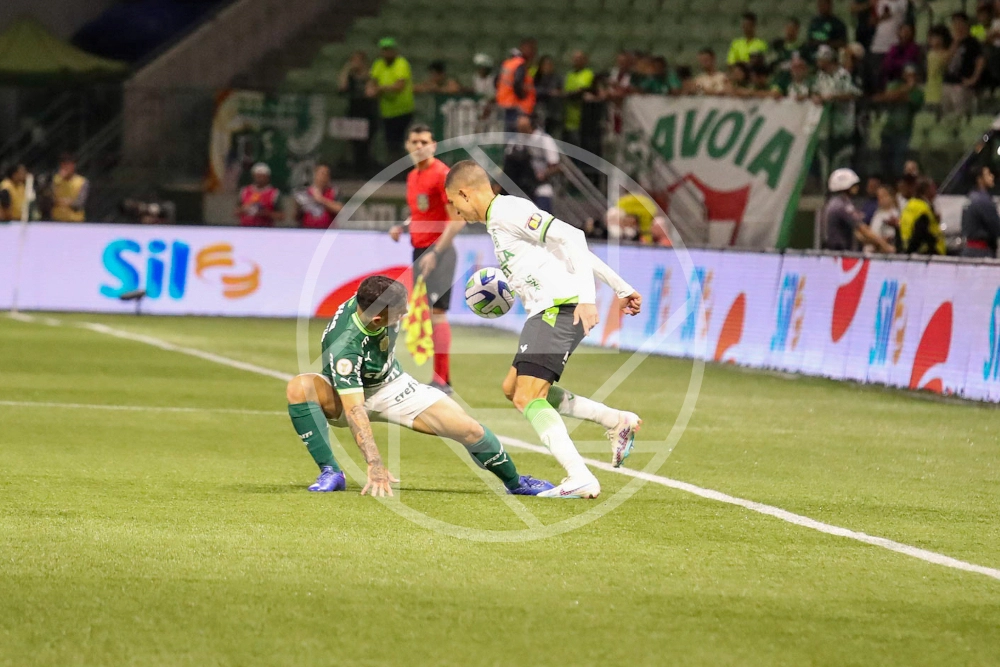 Palmeiras x América MG ao vivo 29/11/2023 - Brasileirão Série A