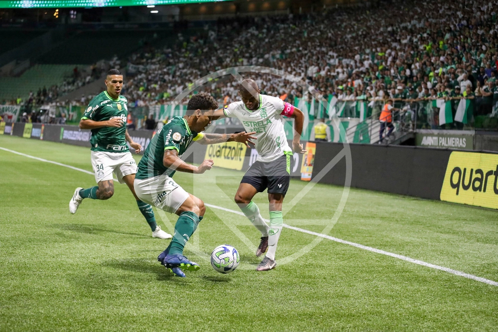 Palmeiras x América MG ao vivo 29/11/2023 - Brasileirão Série A