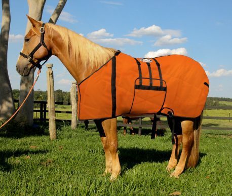 Capa Protetora com Barrigueira Boots Horse Laranja