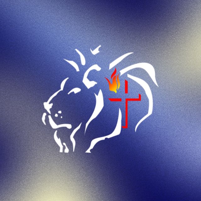 Logo de Igreja Cara de Leao Sao Gonçalo